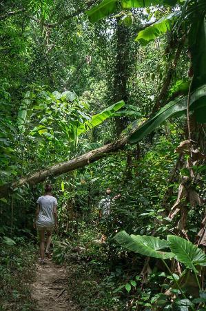 Grot van Khao Mai Kaew